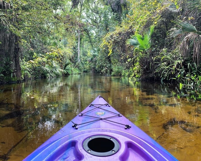 Picture of the Aruba 10 tracking on a river