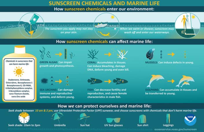 sunscreen chemical and marine life