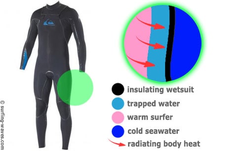 picture of a wetsuit