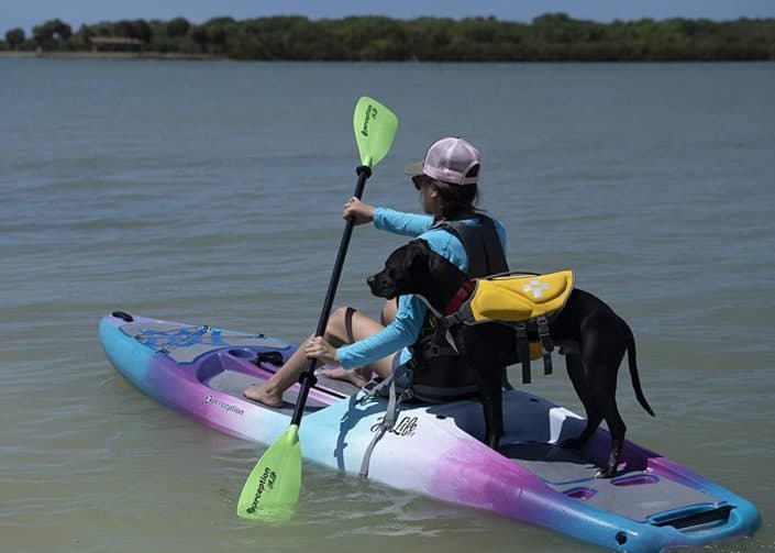 Pic of Perception-Hi-Life-11 kayak model