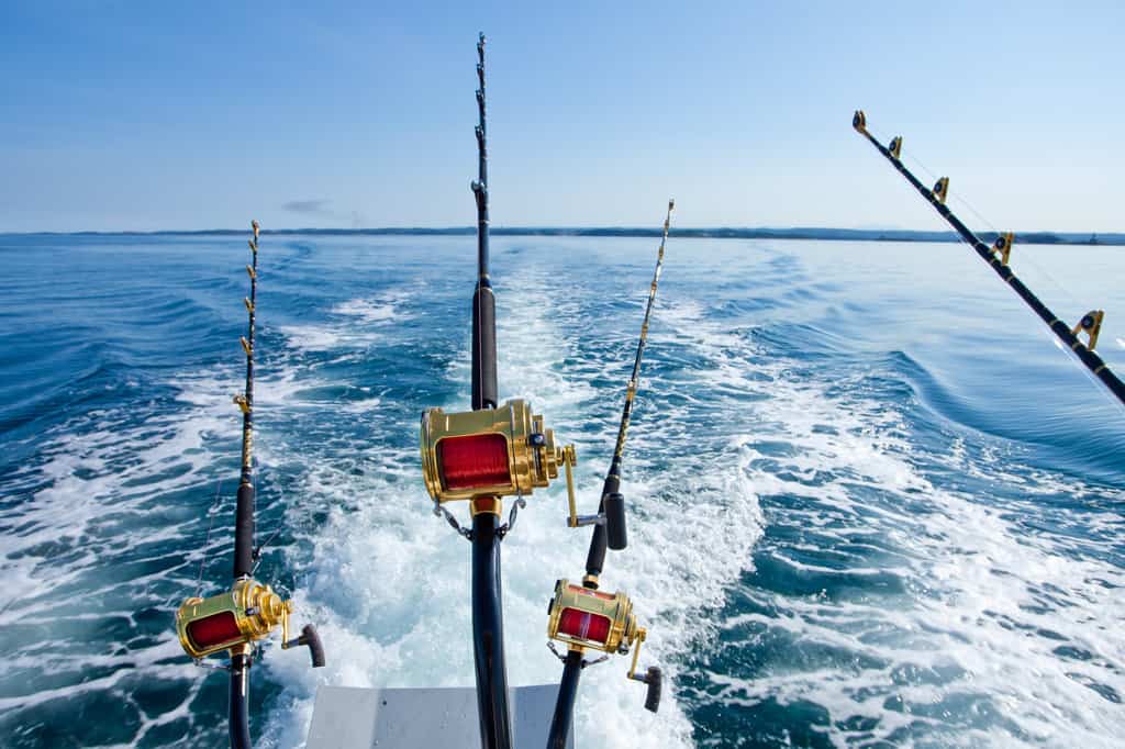 Read more about the article Best Saltwater Rod and Reel Combo (2023)