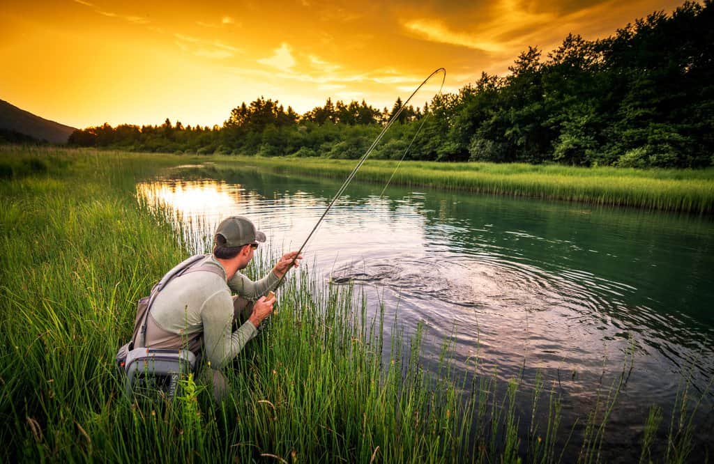 Read more about the article Fishing Near Me – Free Interactive Map of the Best Fishing Spots