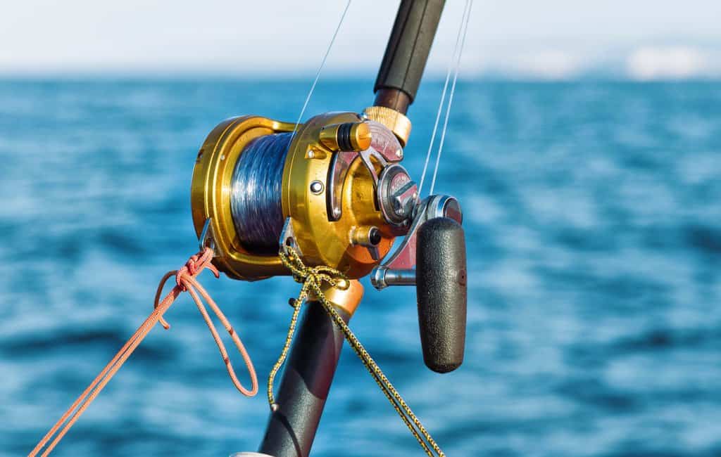 Read more about the article Best Saltwater Spinning Reels in 2023 – Expert Guide